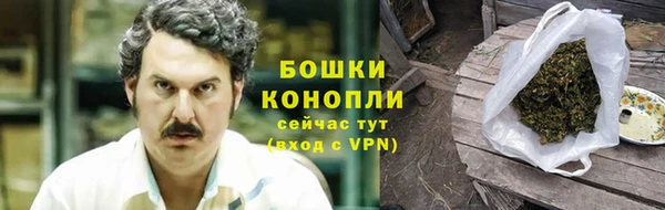 ПСИЛОЦИБИНОВЫЕ ГРИБЫ Слюдянка