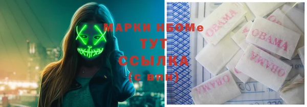ПСИЛОЦИБИНОВЫЕ ГРИБЫ Слюдянка