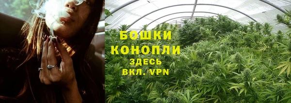 ГАЛЛЮЦИНОГЕННЫЕ ГРИБЫ Снежинск