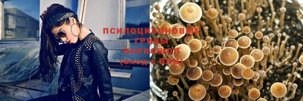 ГАЛЛЮЦИНОГЕННЫЕ ГРИБЫ Снежинск