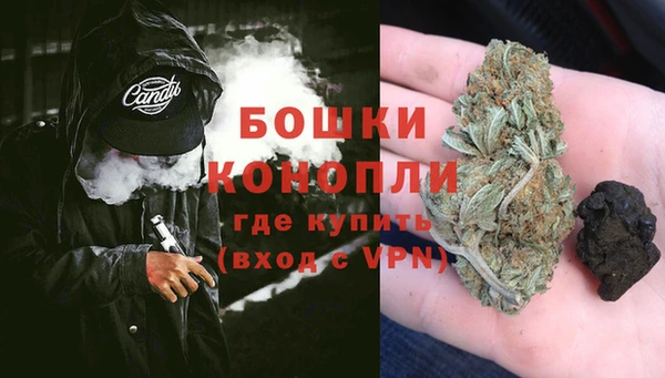 не бодяженный Снежногорск